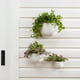 Load image into Gallery viewer, Better Homes &amp; Gardens 4/6/8inch Wall Planters, White, 3-Pack